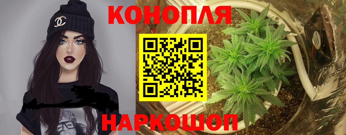 Бошки марихуана White Widow Алексеевка